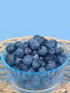 blueberry-bliss