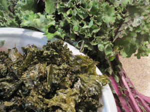 kale-chips