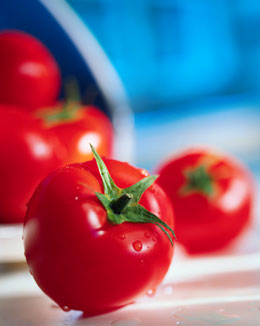 tomato-soup